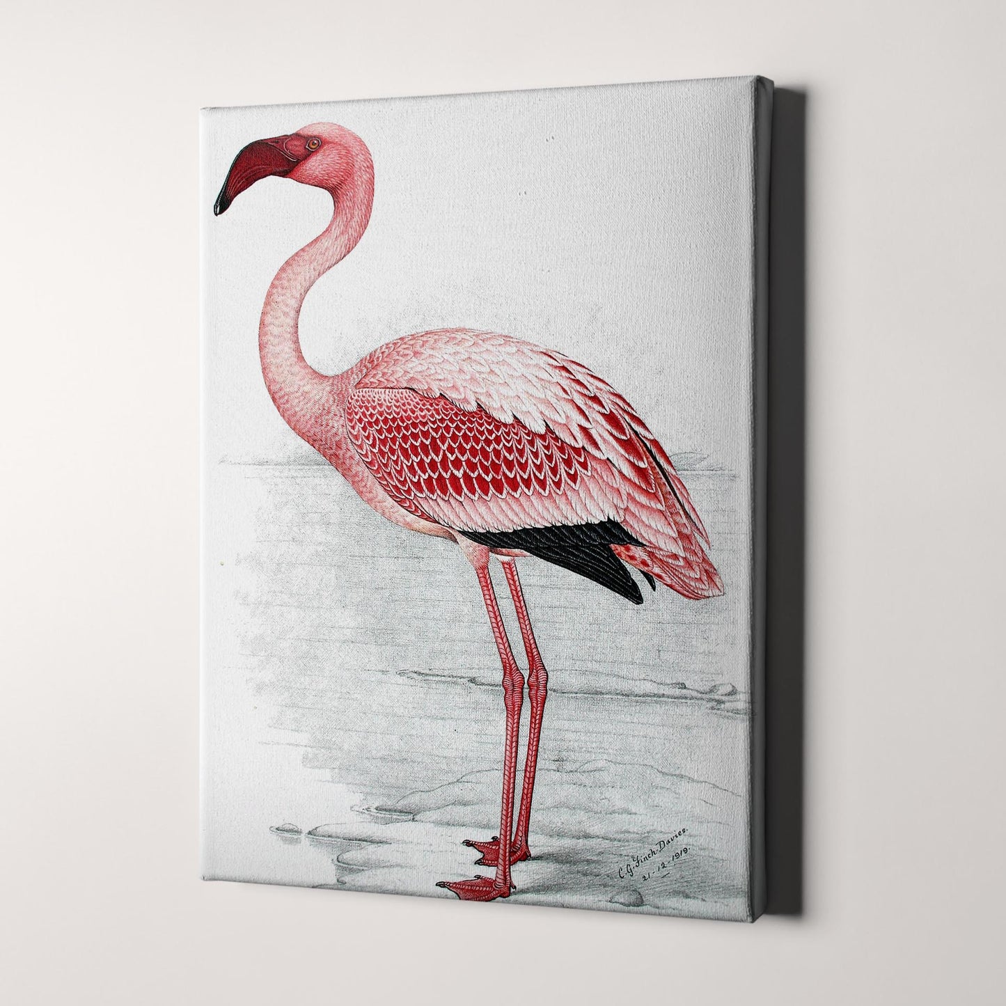 Pink Flamingo