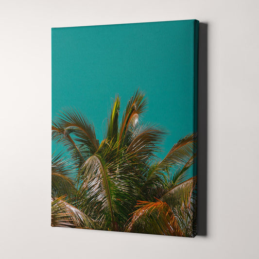 Palm Tree - Aqua