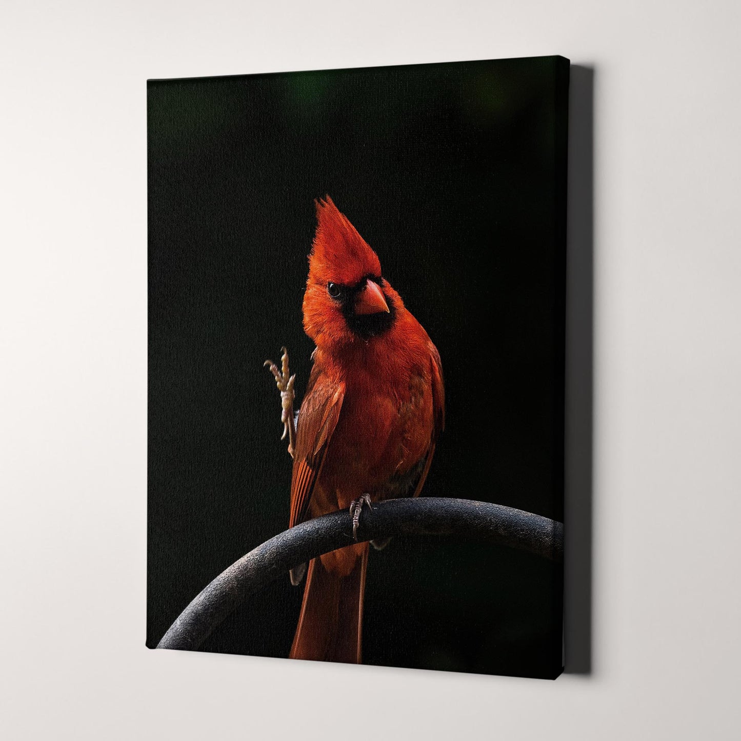 Cardinal