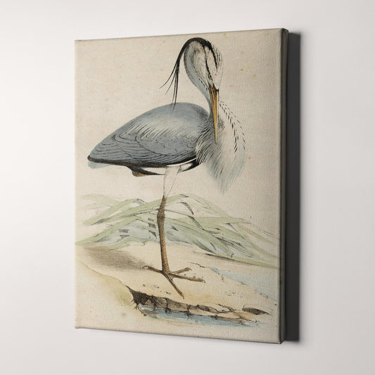 Antique Heron