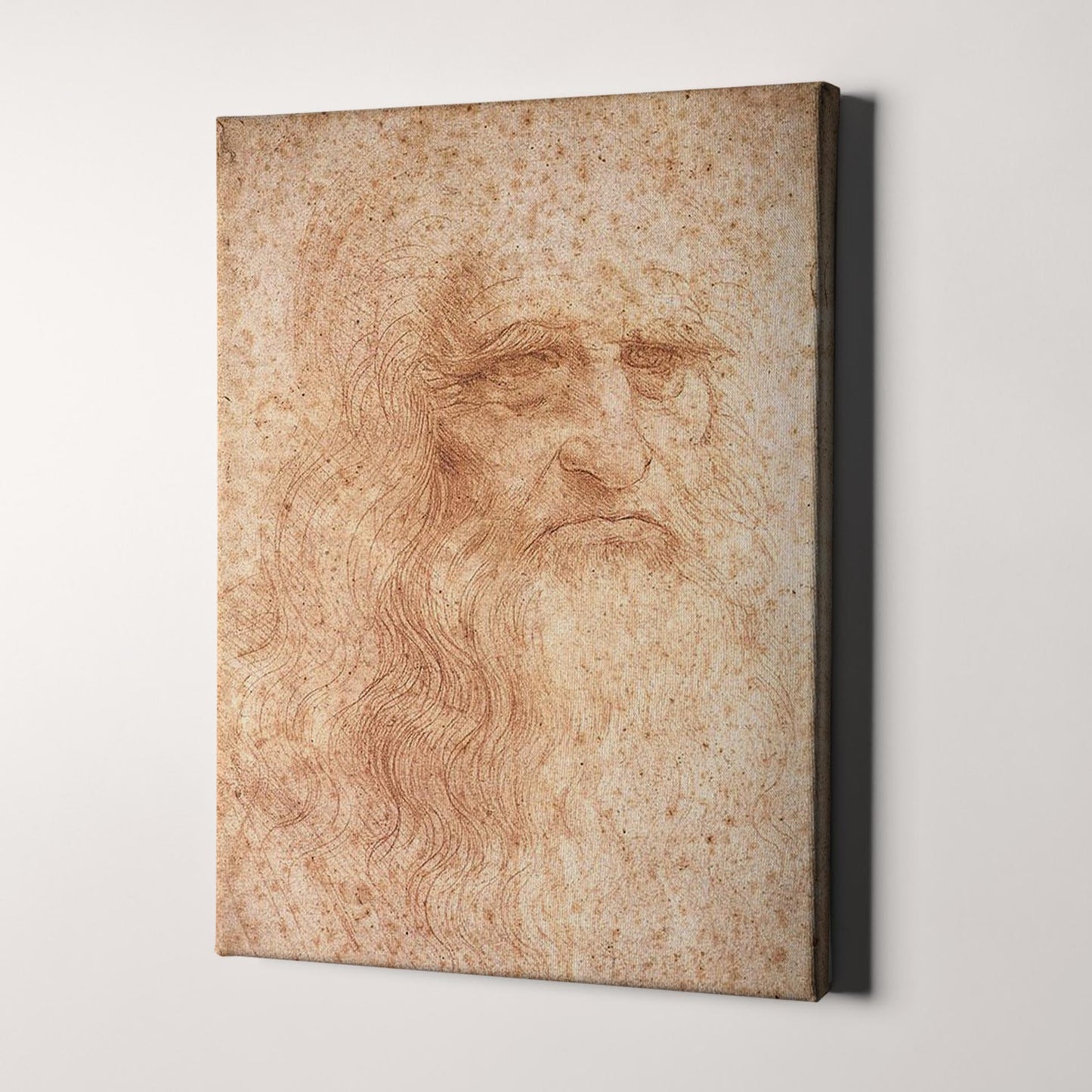 Leonardo Da Vinci Portrait