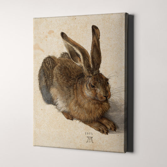 Young Hare by Albrecht Durer