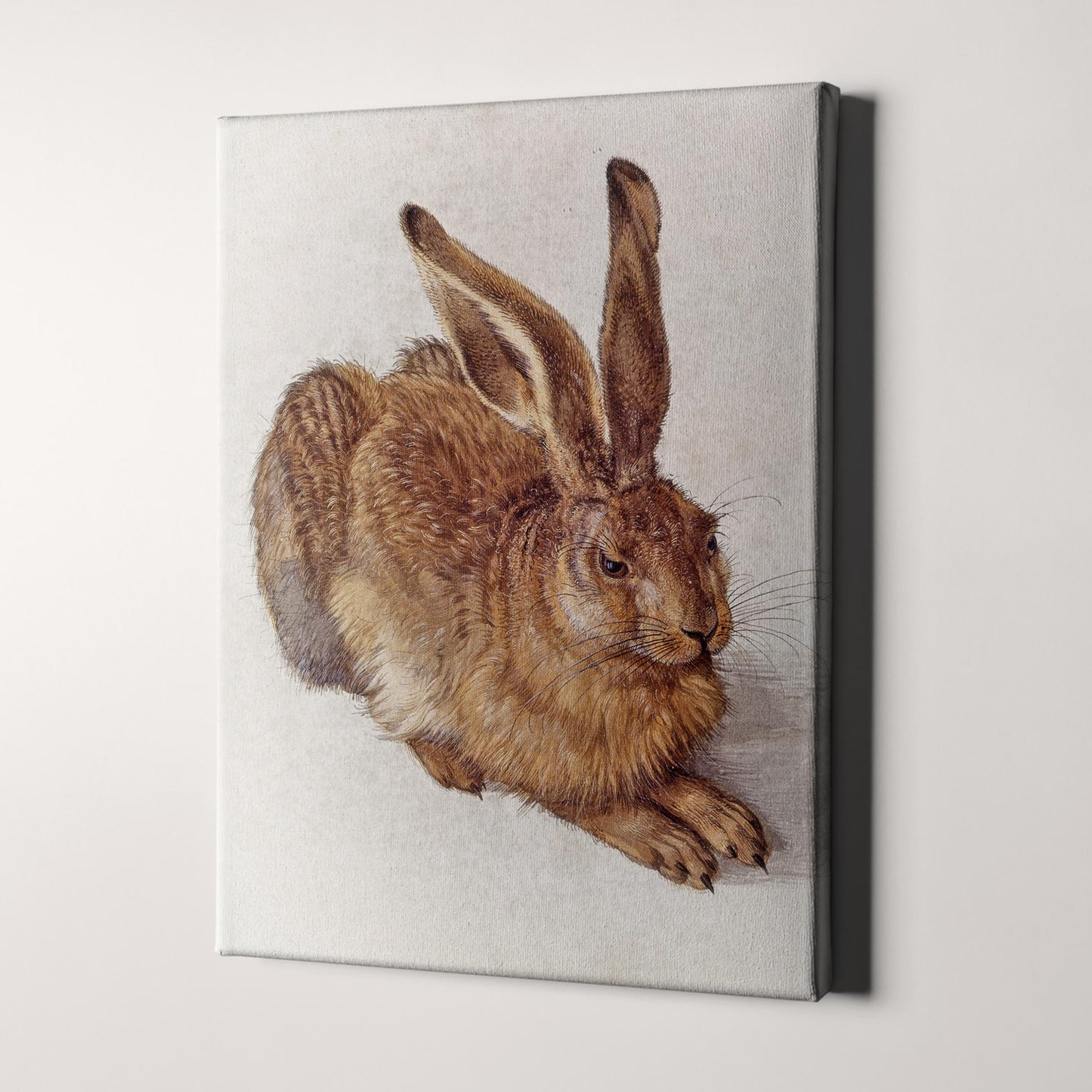 Young Hare by Albrecht Durer