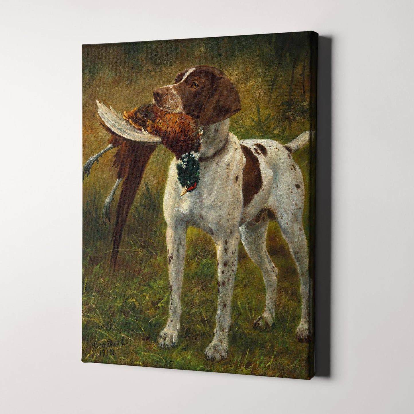 GSP German Shorthaired Pointer Dog 1912