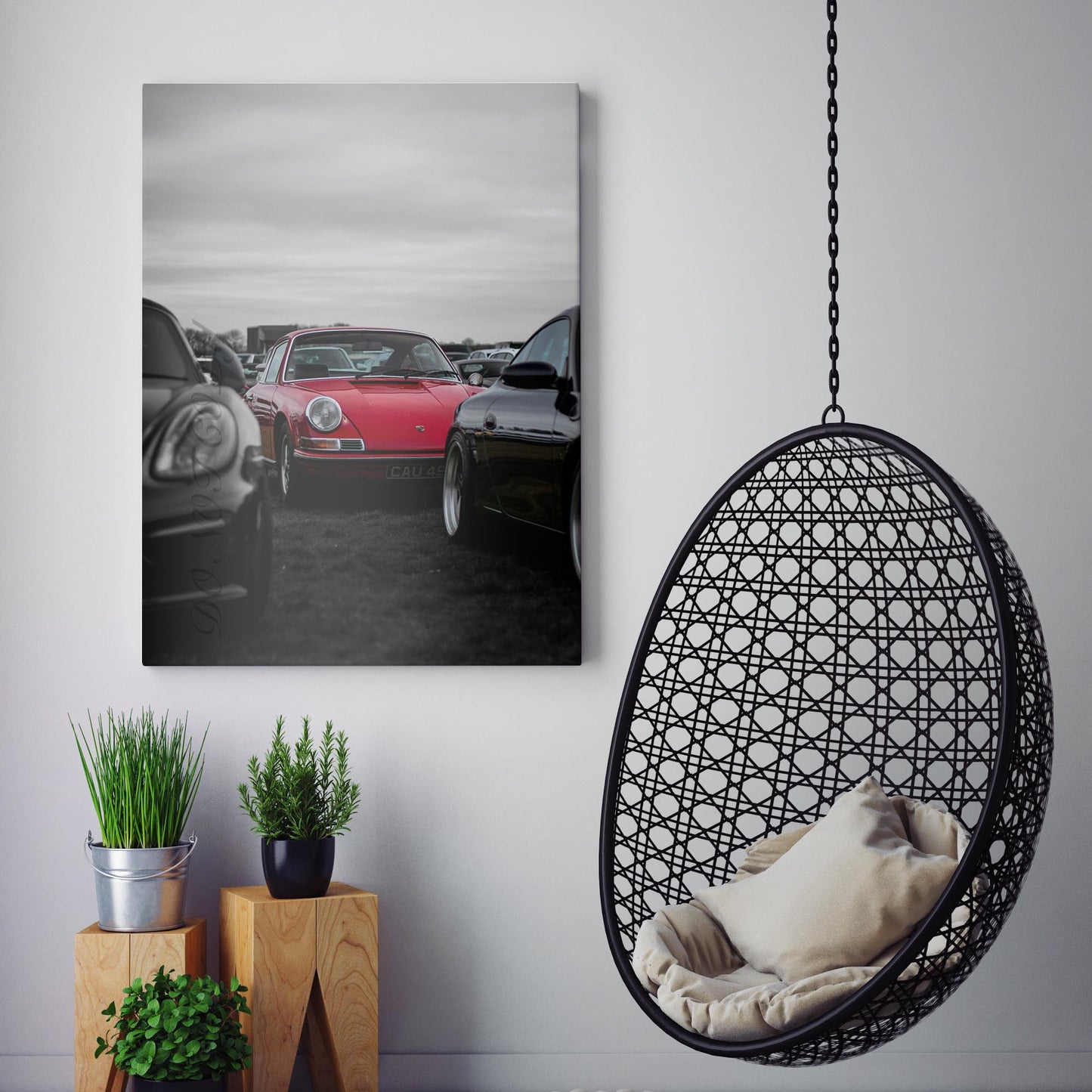 Red Porsche in a Field of Black & White