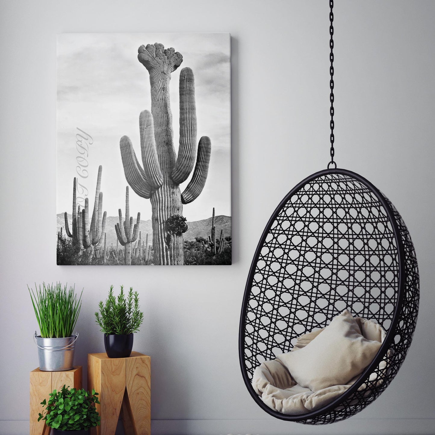 Cactus in Saguaro National Monument, Arizona by Ansel Adams