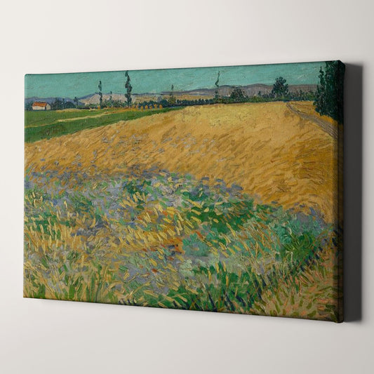 Wheatfield (1888) by Van Gogh