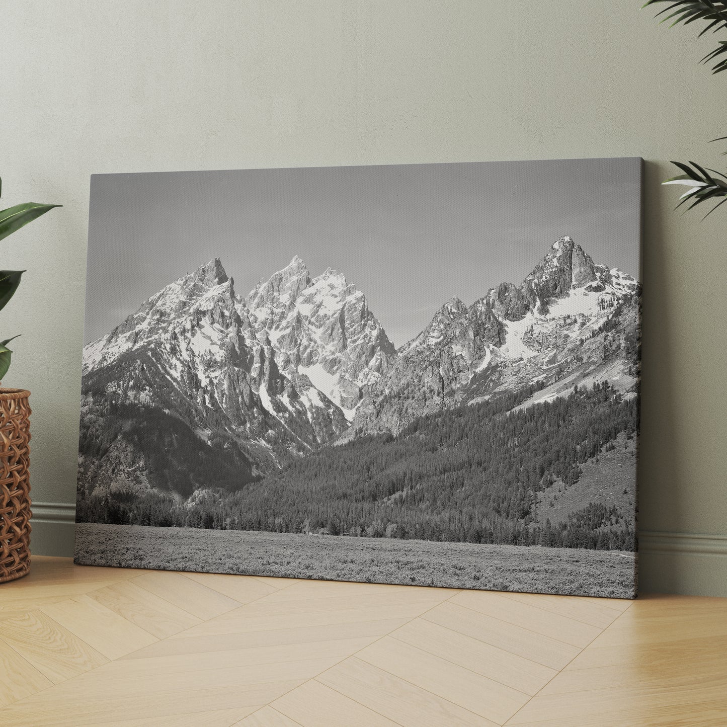 Ansel Adams Grand Teton National Park Mountain Landscape