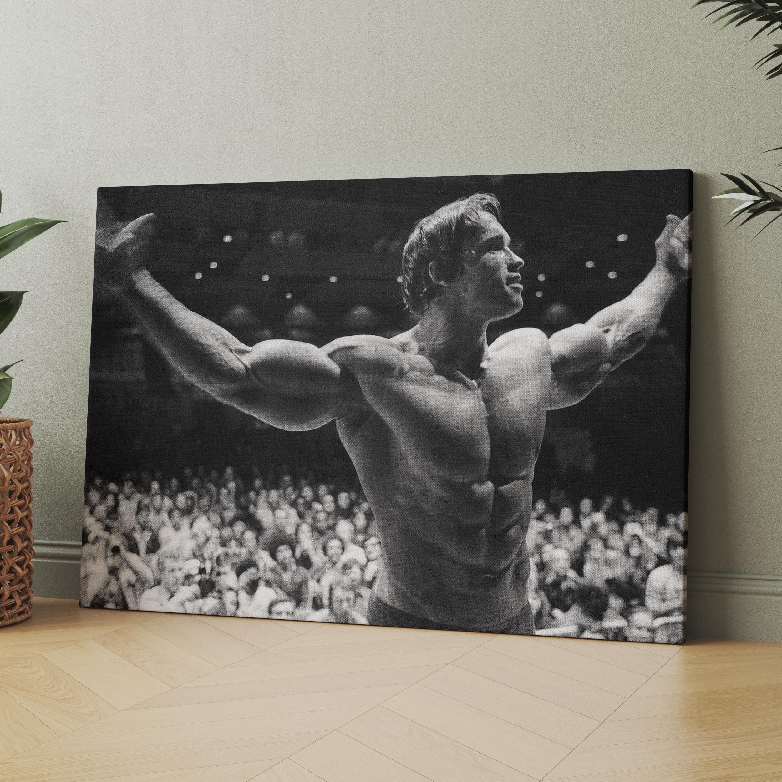 Arnold Schwarzenegger Conquer Canvas Picture shops