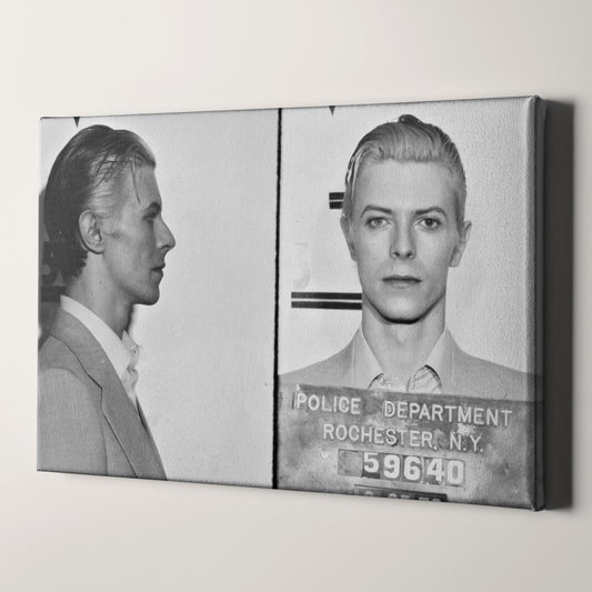 David Bowie Prison Mug Shots