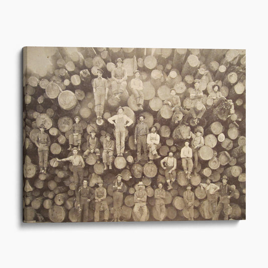 Lumberjacks Who Felled Big Trees Using Only Hand Tools II