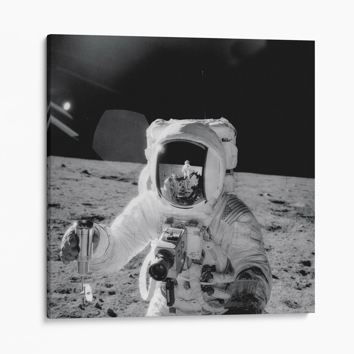 Astronaut Alan Bean on the Moon NASA Photo