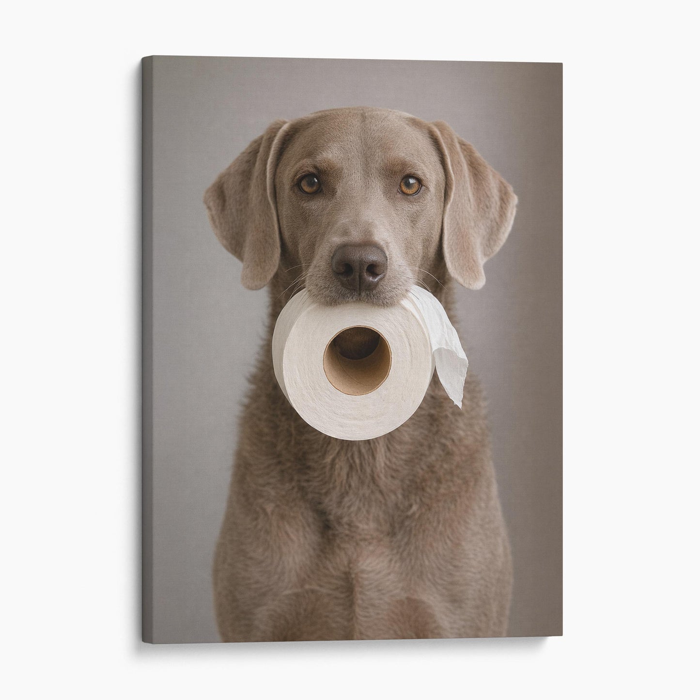 Weimaraner Dog Toilet Paper