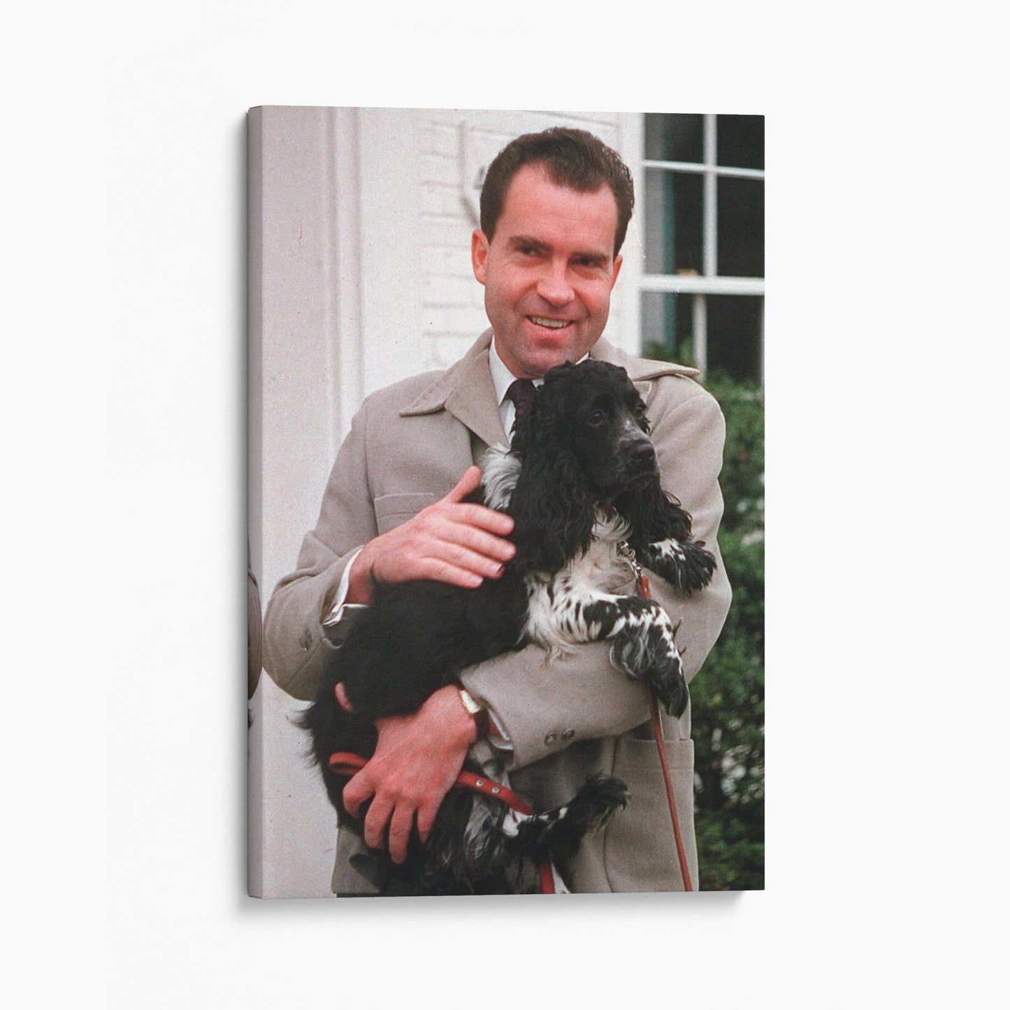 Richard Nixon With His Dog Checkers
