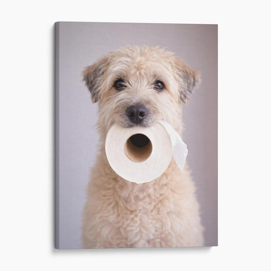 Soft Coated Wheaten Terrier Dog Toilet Paper