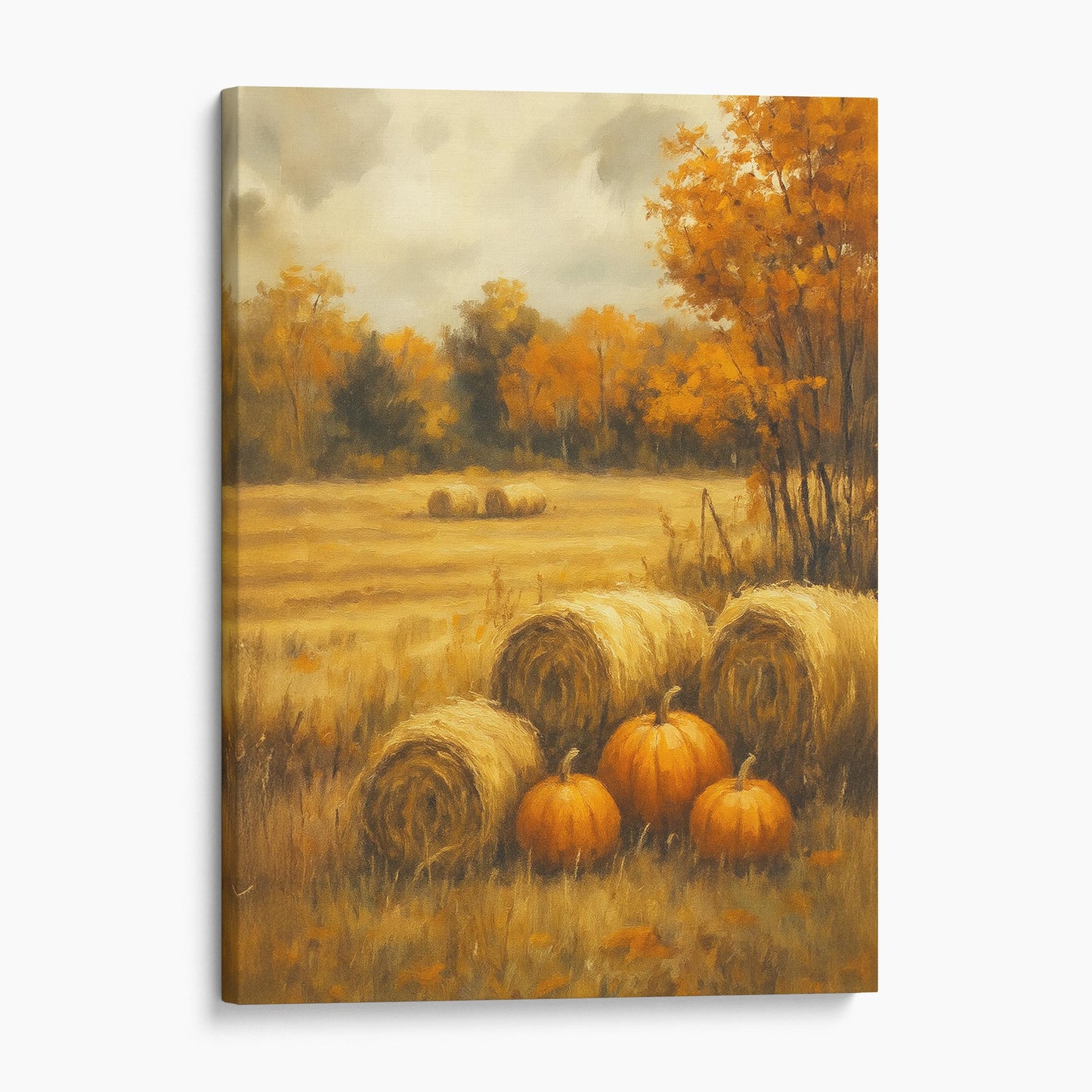 Autumn Pumpkin Field Landscape