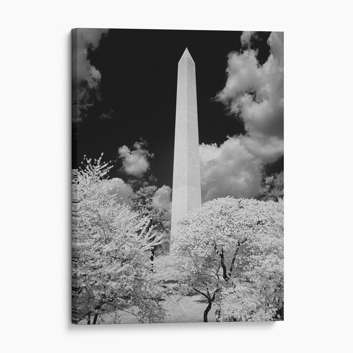 Washington Monument, Washington, D.C.