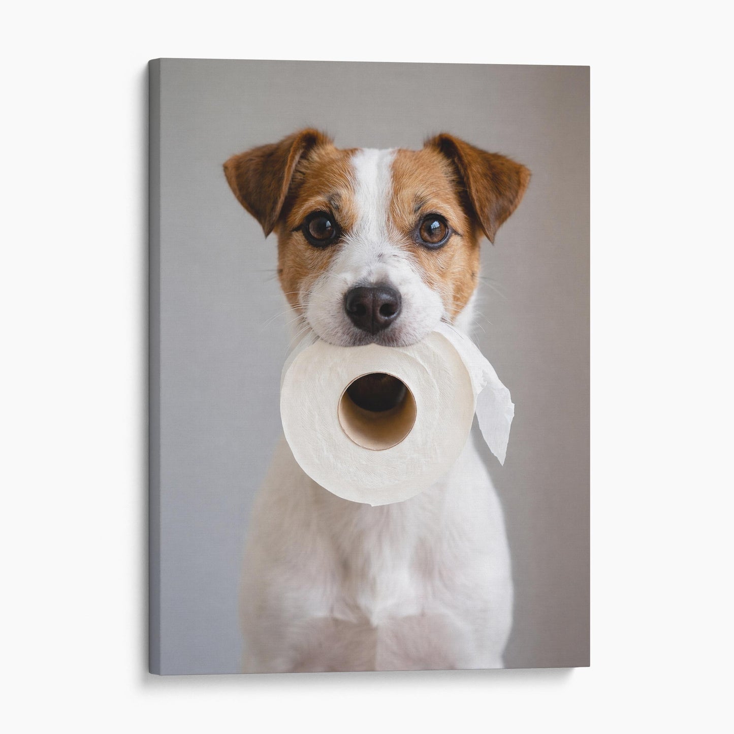 Russell Terrier Dog Toilet Paper