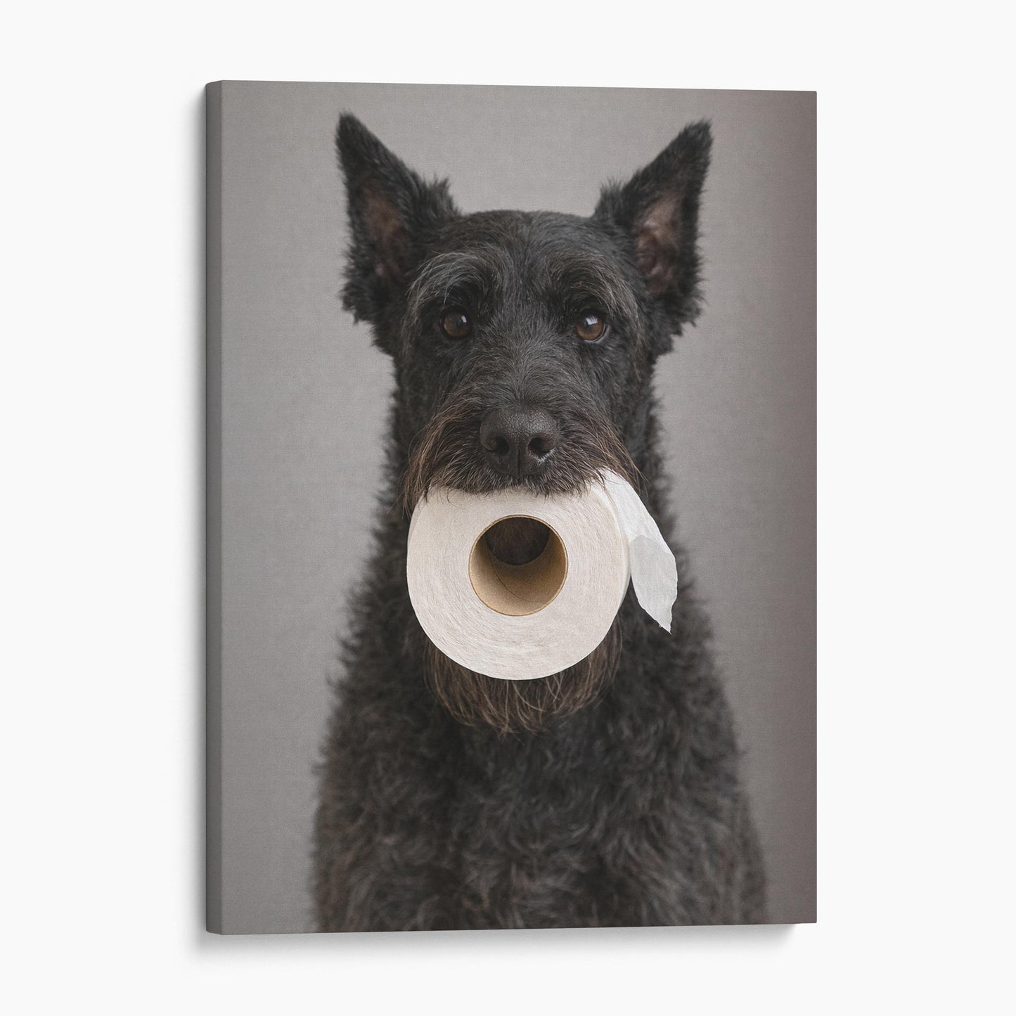 Giant Schnauzer Dog Toilet Paper