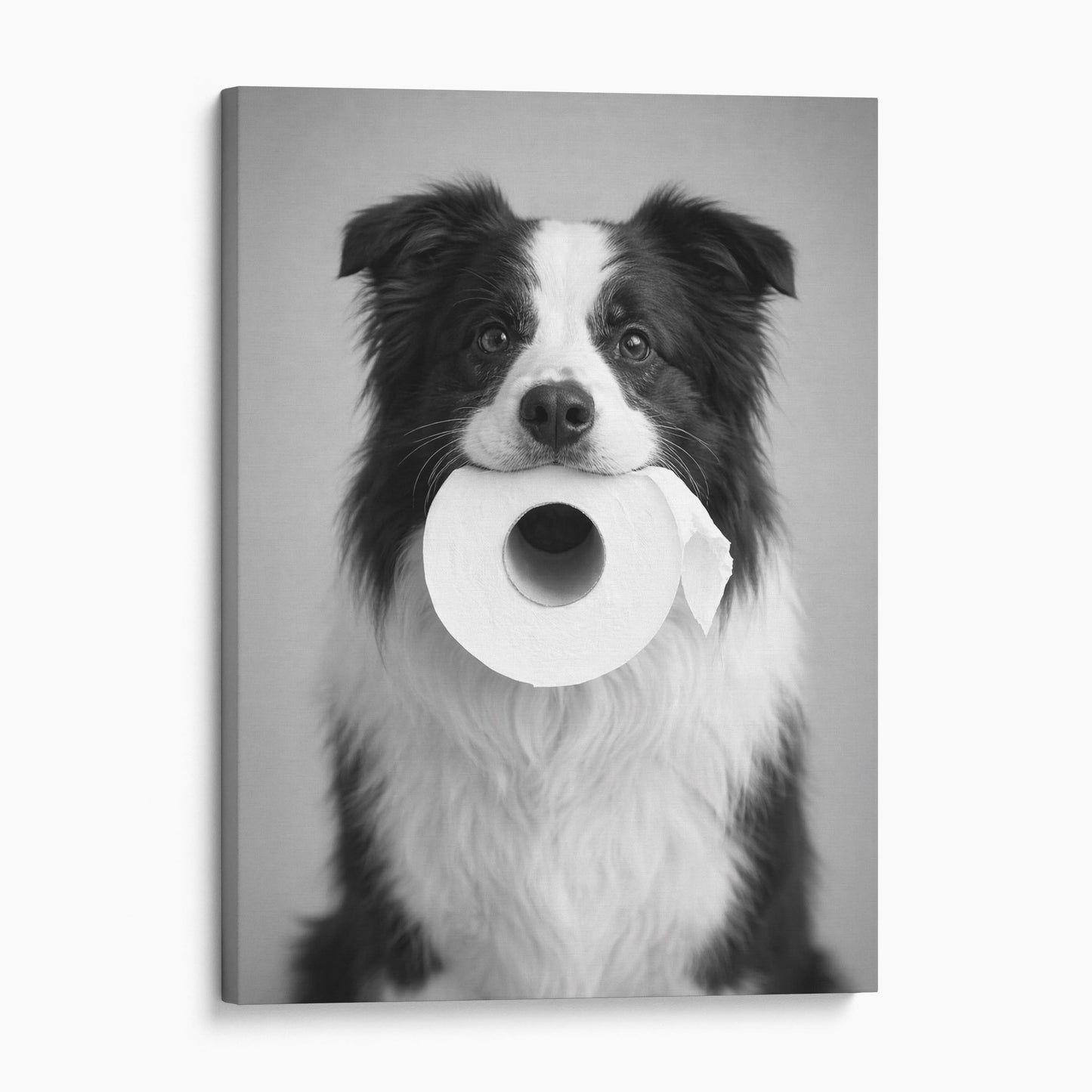 Collie Dog Toilet Paper