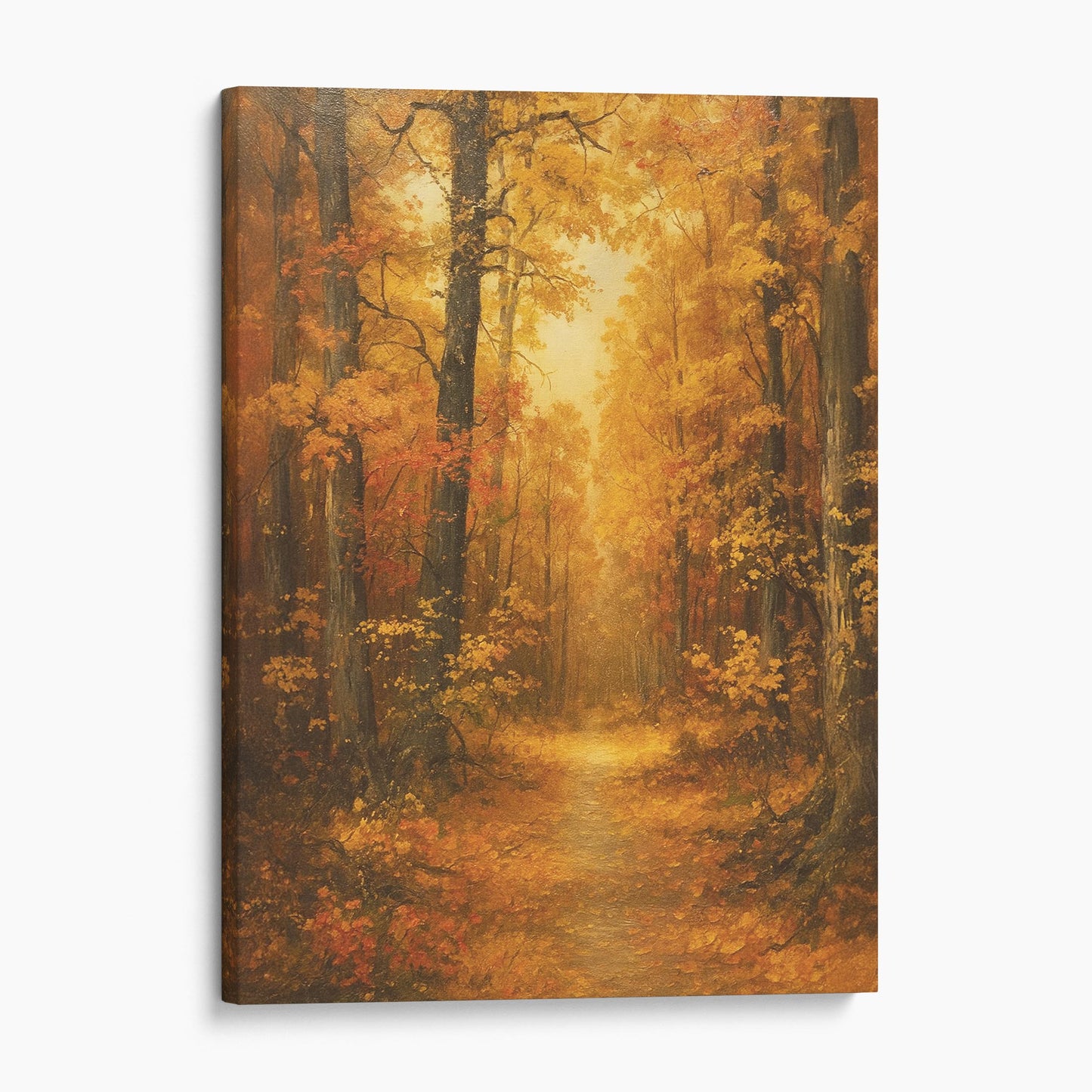 Autumn Fall Forest
