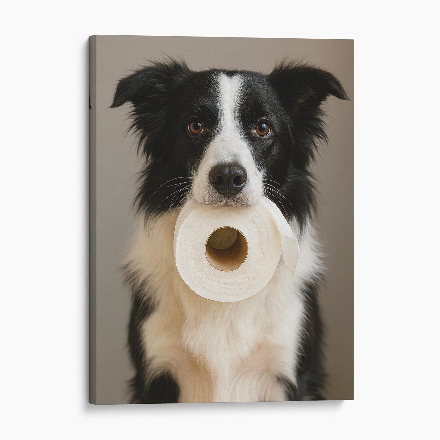 Border Collie Dog Toilet Paper