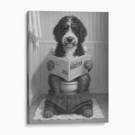 Bernedoodle Reading The Newspaper On The Toilet