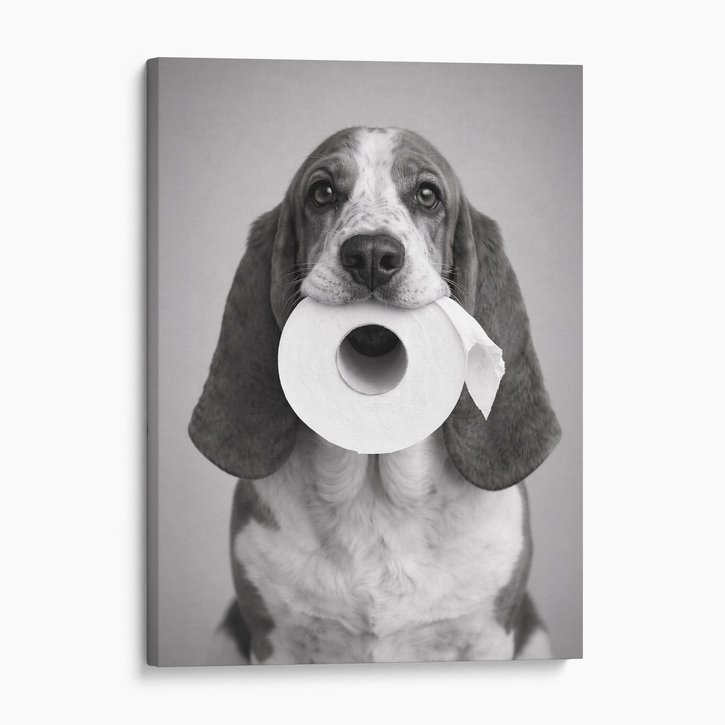 Basset Hound Toilet Paper
