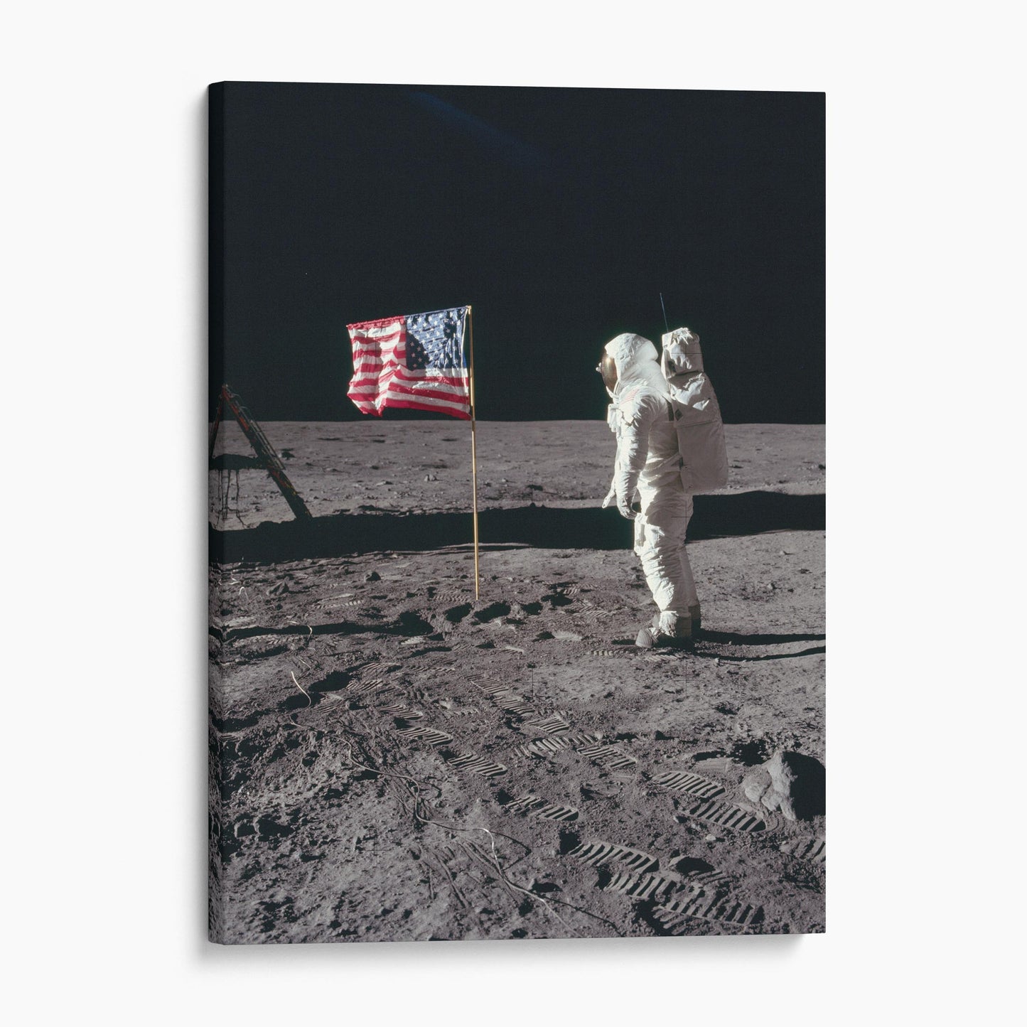 Buzz Aldrin Salutes The American Flag On The Moon