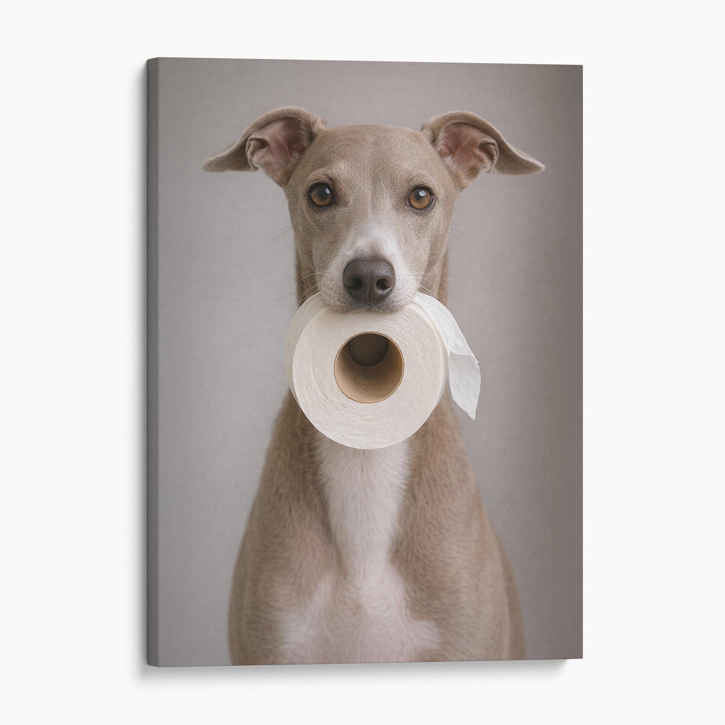 Italian Greyhound Dog Toilet Paper