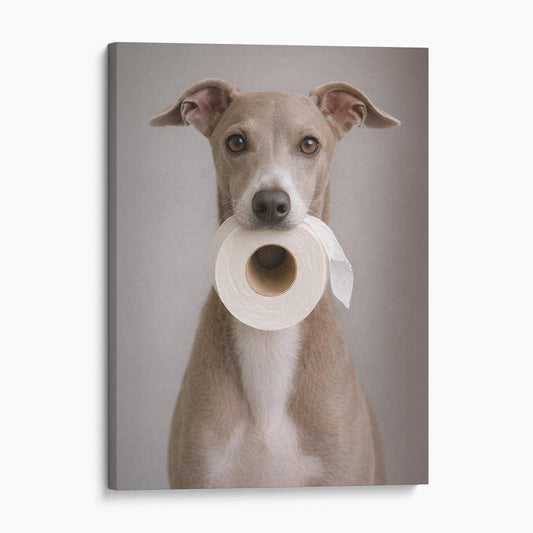 Italian Greyhound Dog Toilet Paper