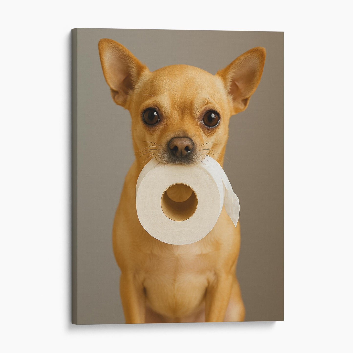 Chihuahua Dog Toilet Paper