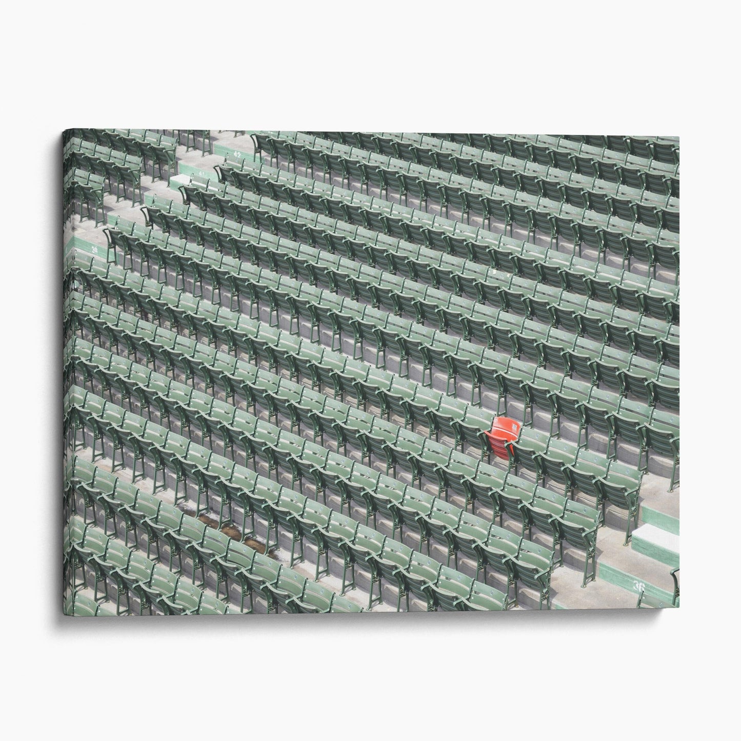 The Lone Red Seat, Fenway Park Boston