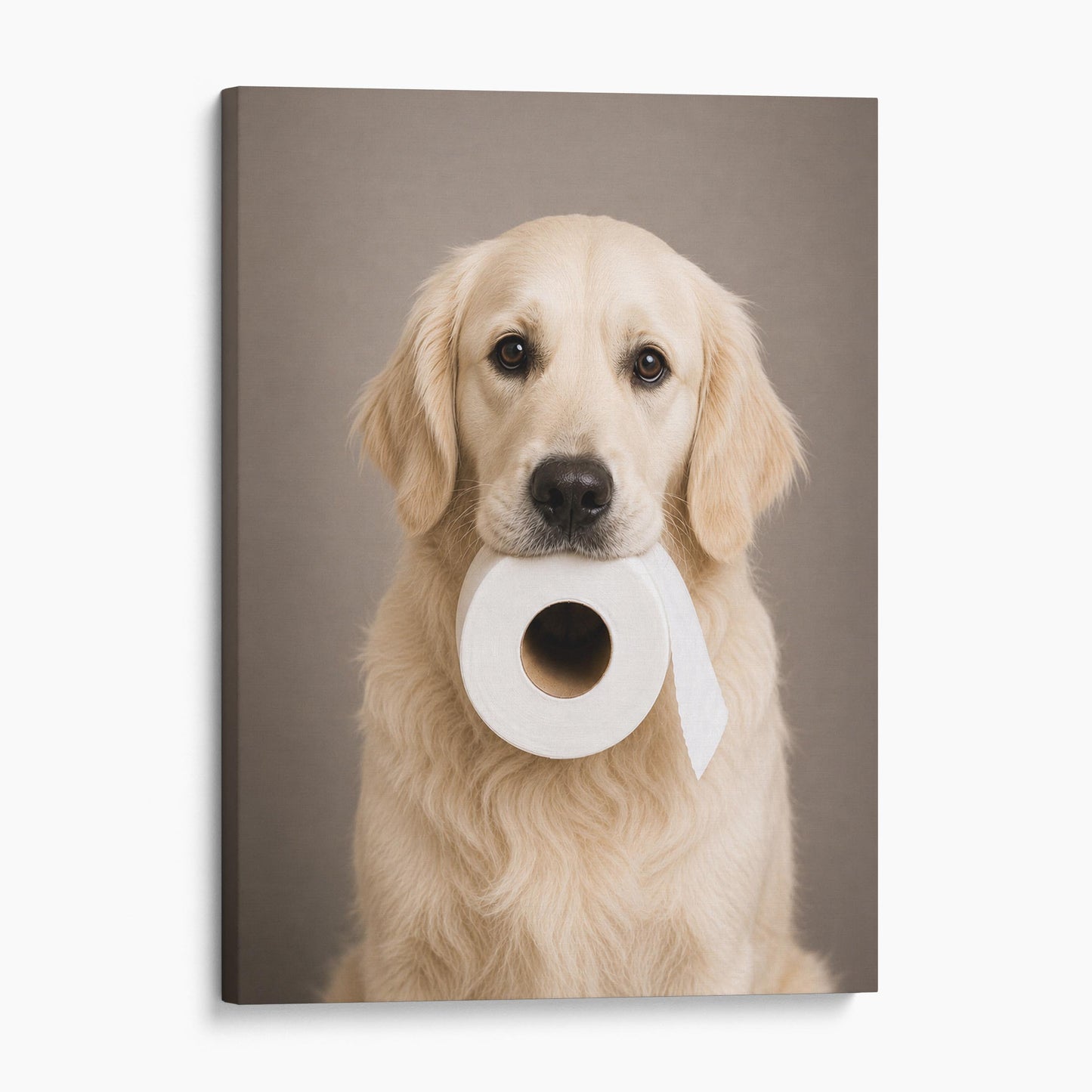 English Cream Retriever Dog Toilet Paper