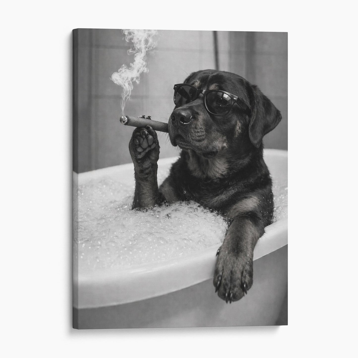 Rottweiler Dog Bathtub Cigar