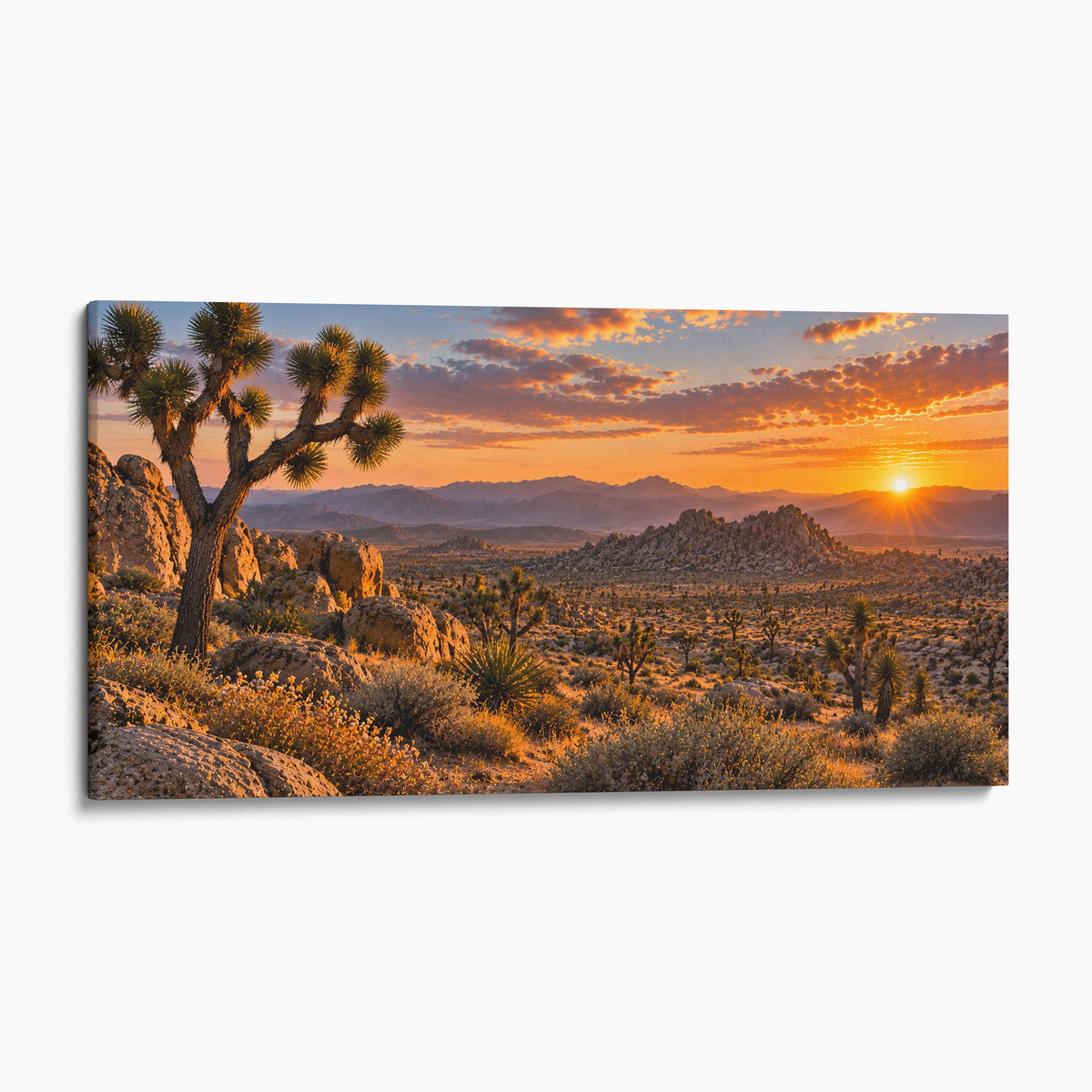 Joshua Tree