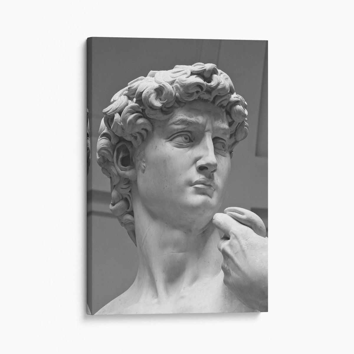 David - by Michelangelo
