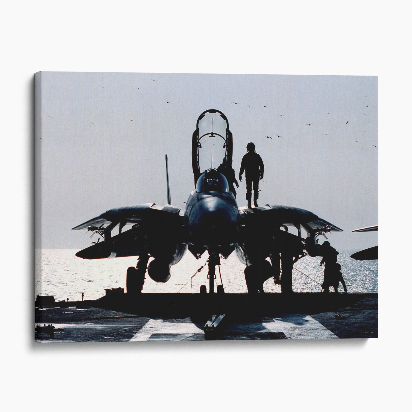 Pilots Prepares F-14 Airplane for Mission