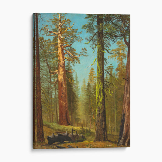 The Grizzly Giant Sequoia, Mariposa Grove, California by Albert Bierstadt