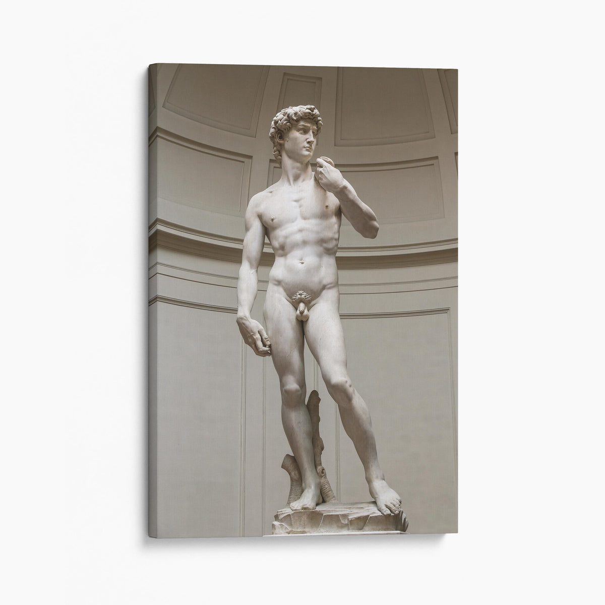 Statue of David by Michelangelo