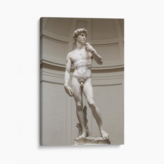 Statue of David by Michelangelo