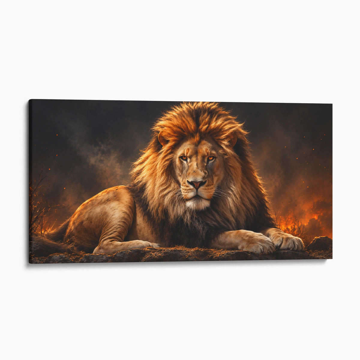 Lion, King of the Jungle