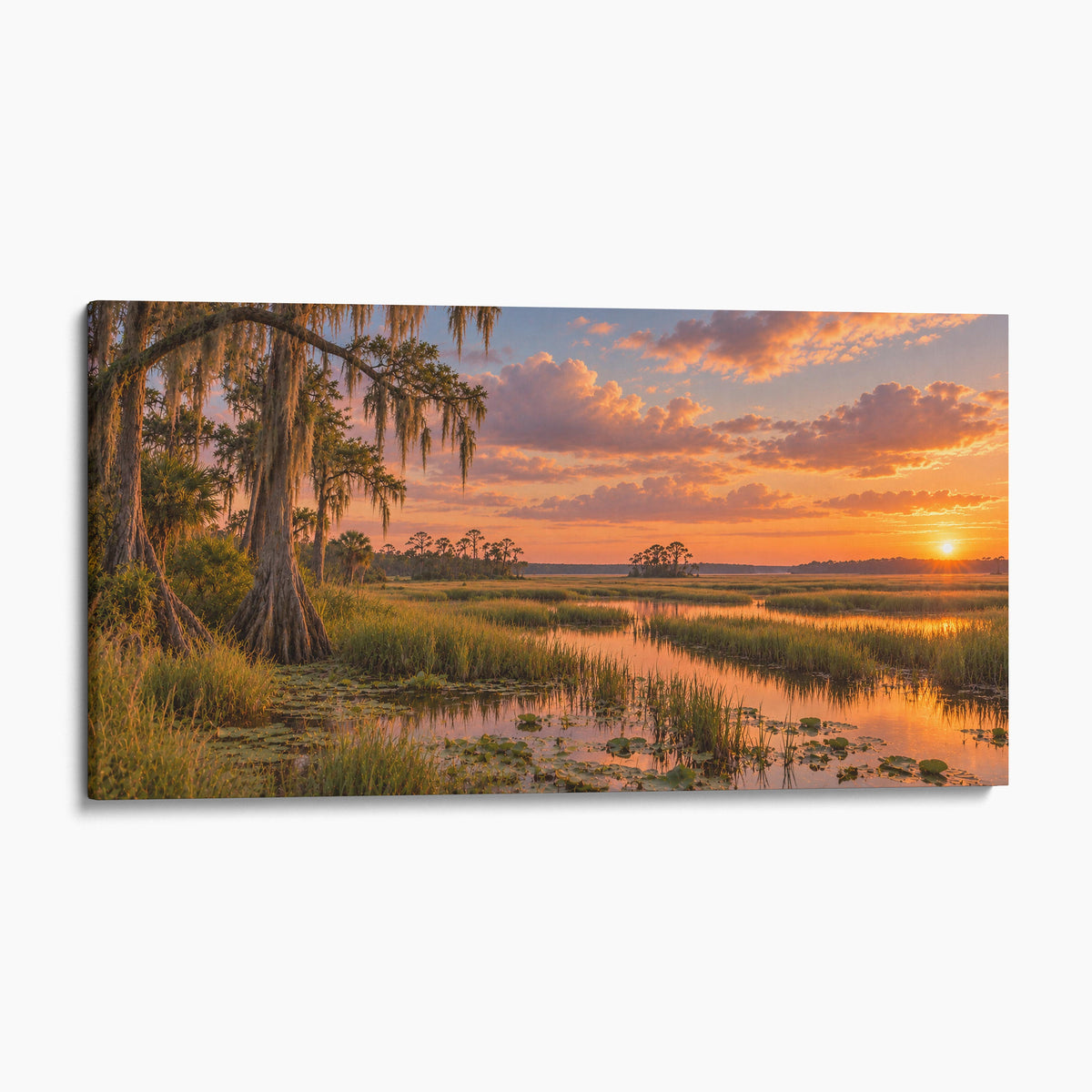 Everglades Florida