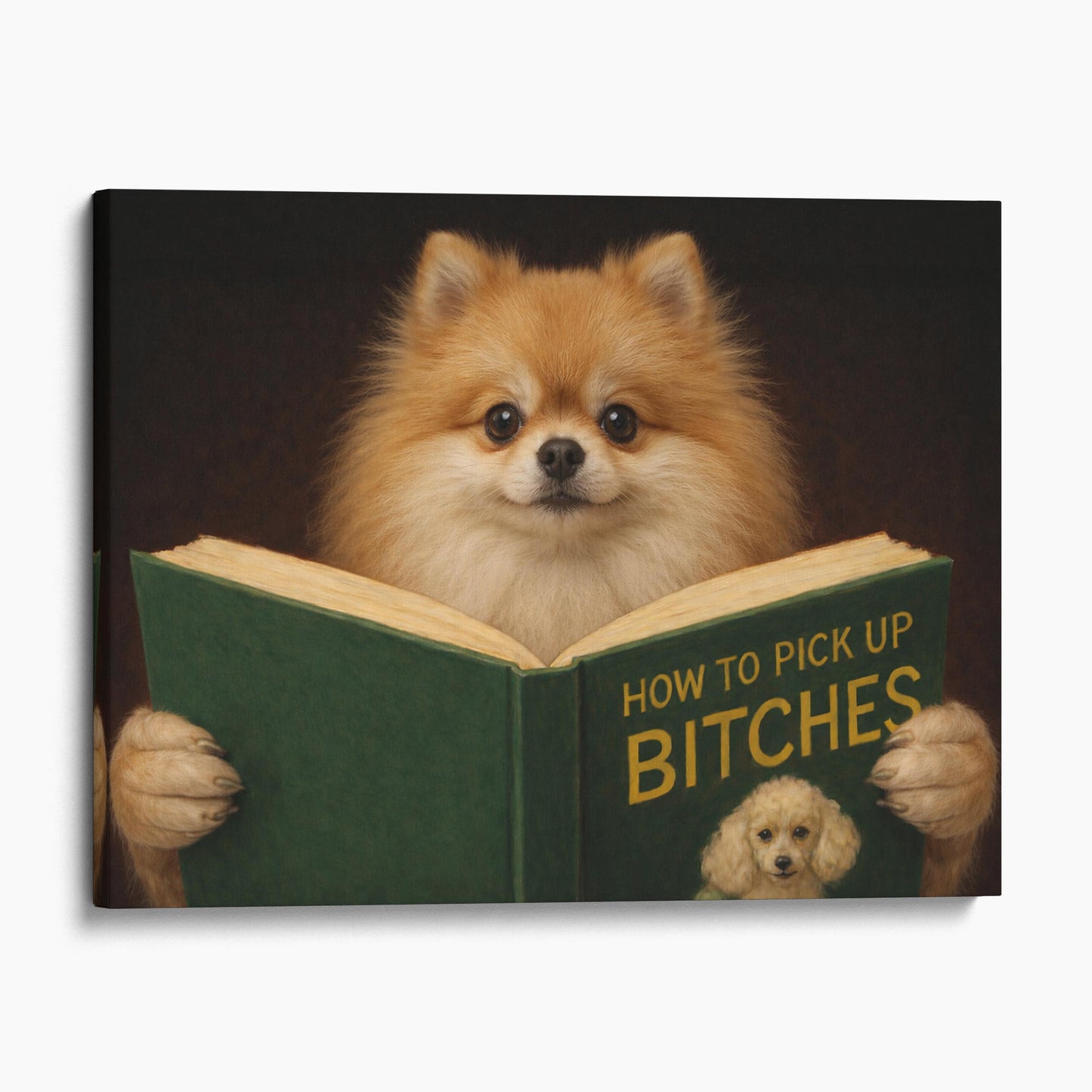 Pomeranian Reading Dog Dating Book