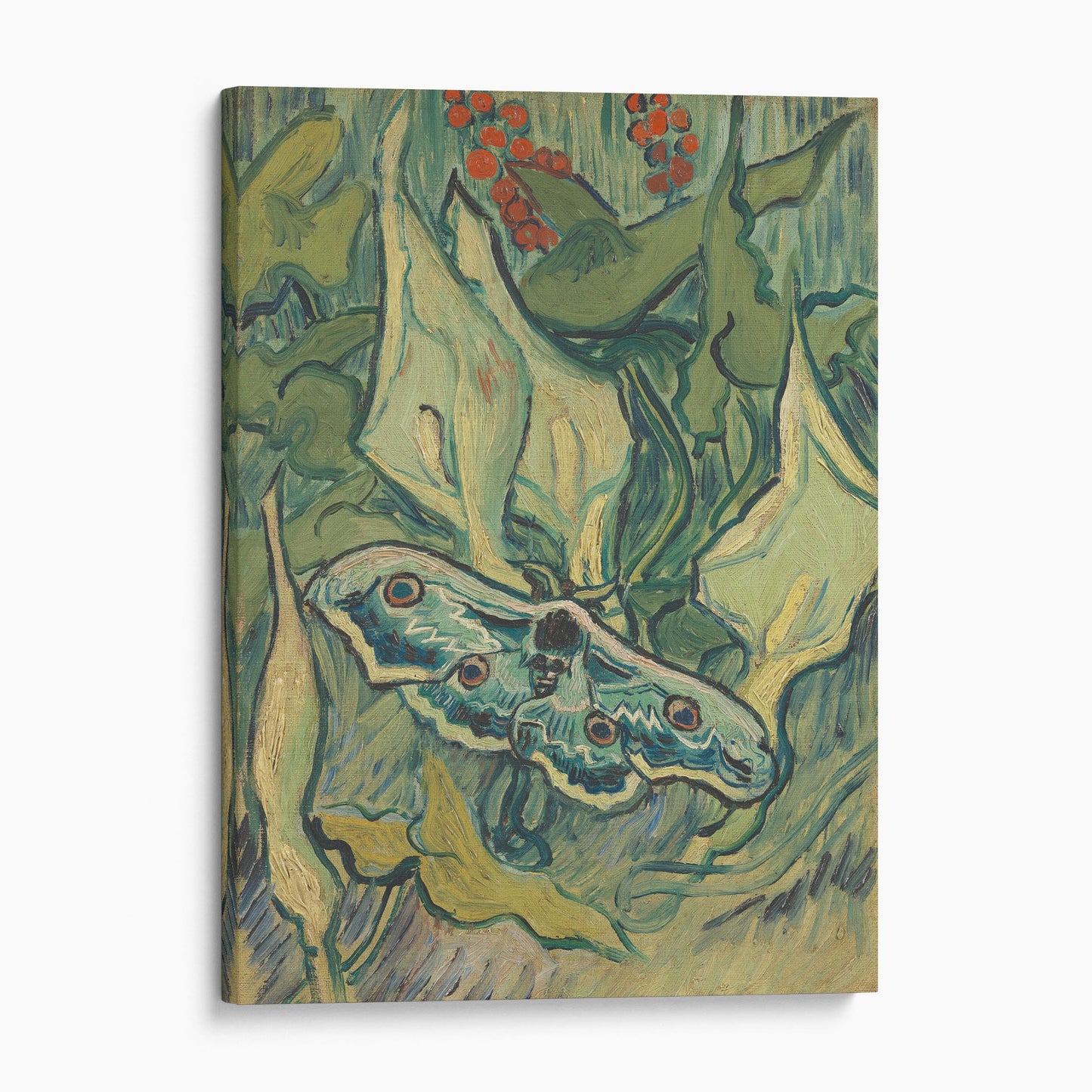 Giant Peacock Moth, 1889 by Van Gogh