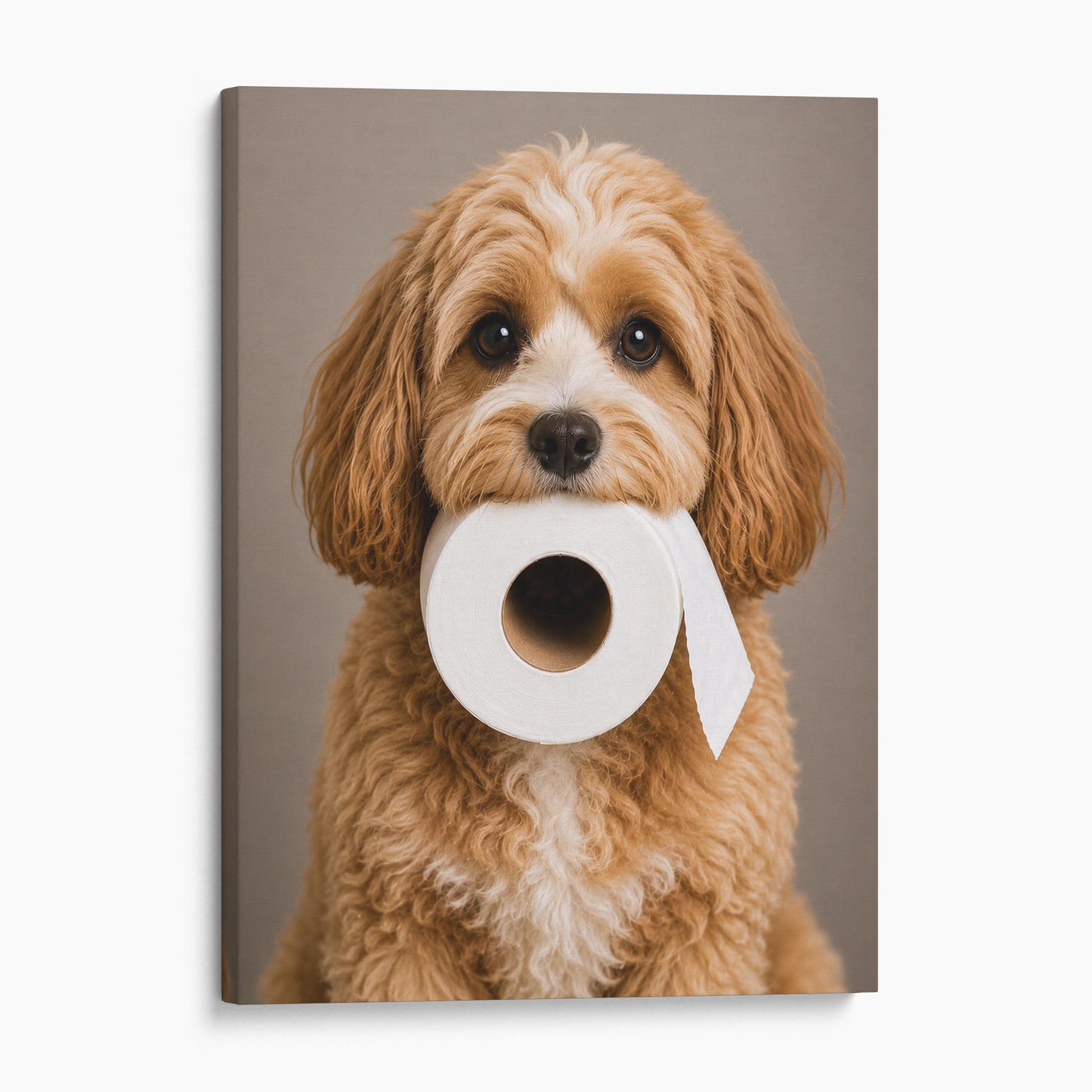 Cavapoo Dog Toilet Paper