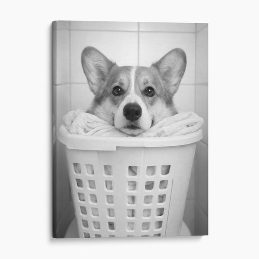 Corgi Dog Laundry