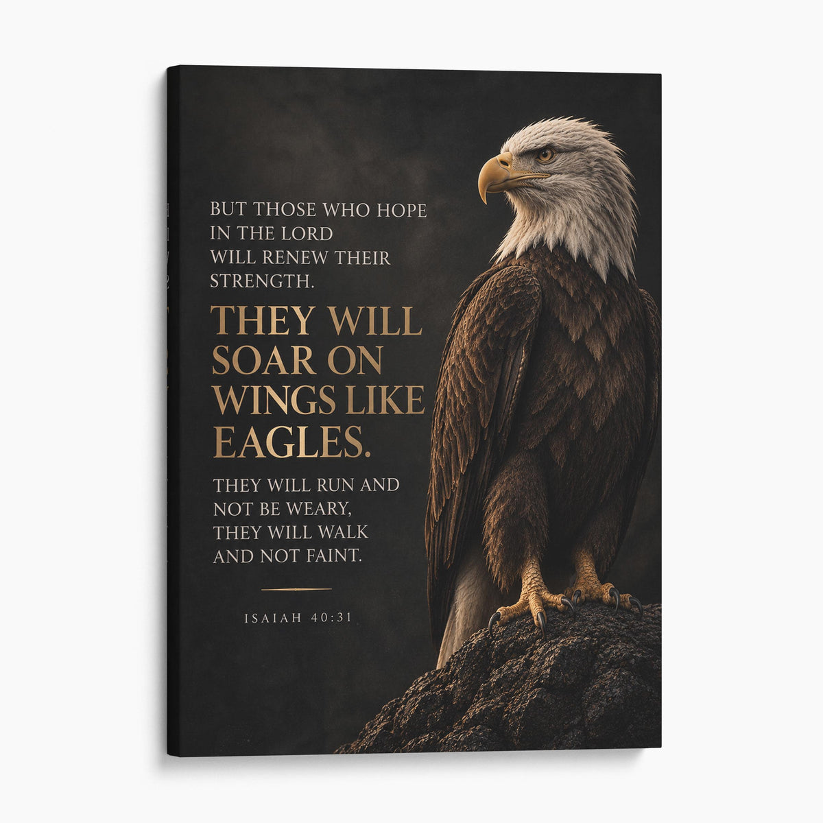 They Will Soar On Wings Like Eagles - Isaiah 40 Verse 31