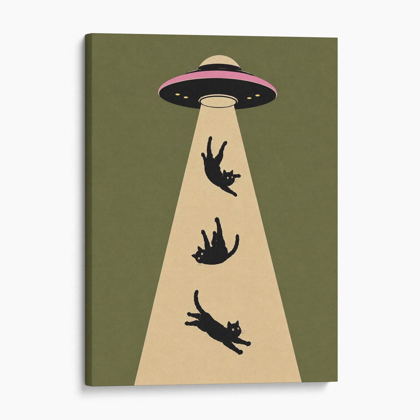 UFO Cat Abduction