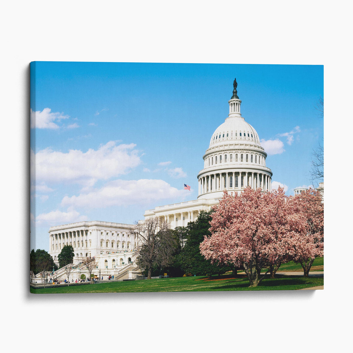 U.S. Capitol Building, Washington D.C.